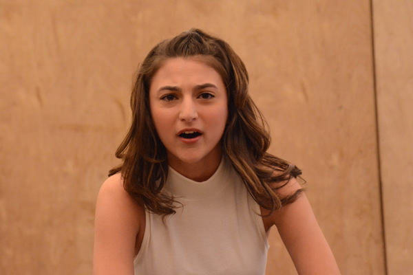 Photo Coverage: The Cast of MRS. DOUBTFIRE Meets the Press Image