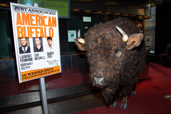 Photo Coverage: Nickel the Buffalo Takes Residence at AMERICAN BUFFALO Image