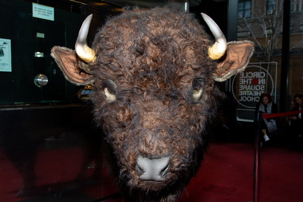 Photo Coverage: Nickel the Buffalo Takes Residence at AMERICAN BUFFALO Image
