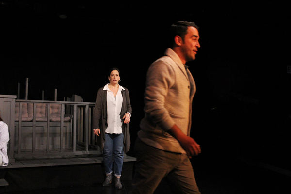 Photo Flash: Chicago Premiere of PLANO at First Floor Theater 