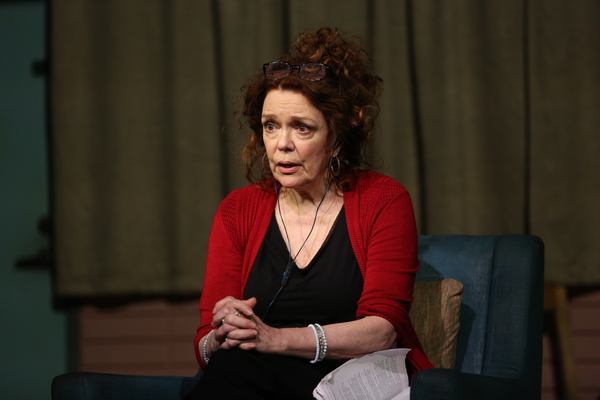 Photo Flash: DANA H. Extends at Vineyard Theatre; Get a First Look! Image