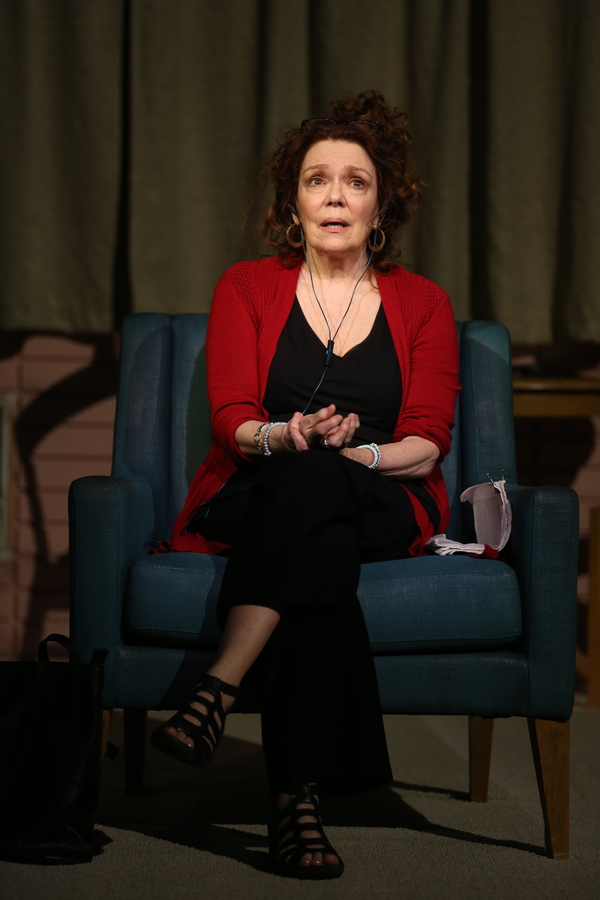 Photo Flash: DANA H. Extends at Vineyard Theatre; Get a First Look! Image