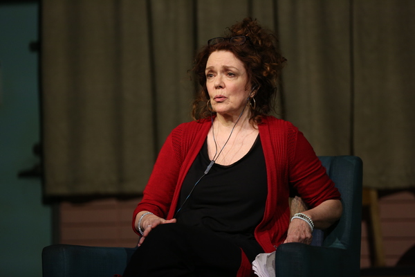 Photo Flash: DANA H. Extends at Vineyard Theatre; Get a First Look! Image