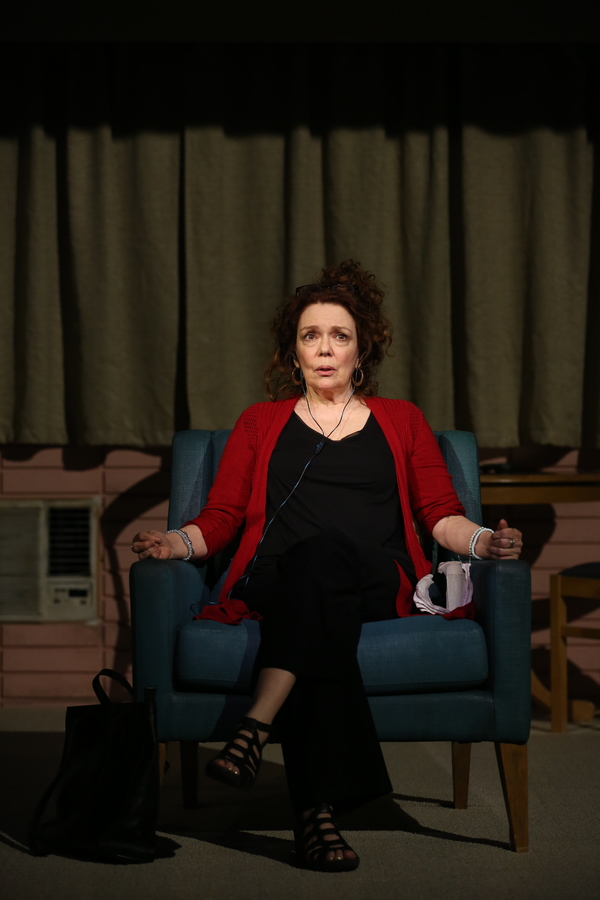 Photo Flash: DANA H. Extends at Vineyard Theatre; Get a First Look! Image