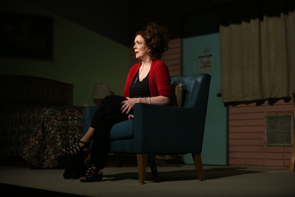 Photo Flash: DANA H. Extends at Vineyard Theatre; Get a First Look! Image