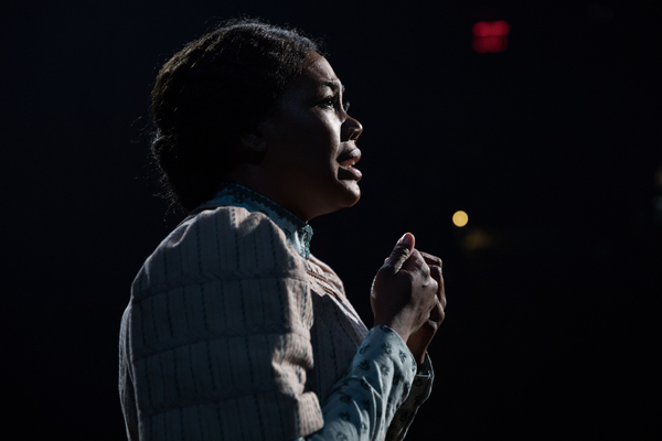 Photo Flash: First Look at LCT's INTIMATE APPAREL Directed by Bartlett Sher Image