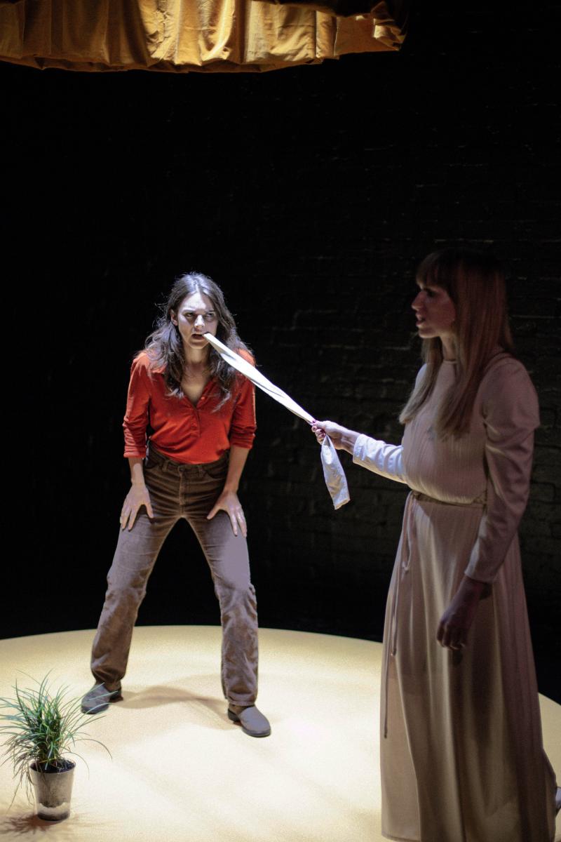 Review: A New Generation Finding Solace From The Perceived Pressures Of Life Is Presented in SHEPHERD Image