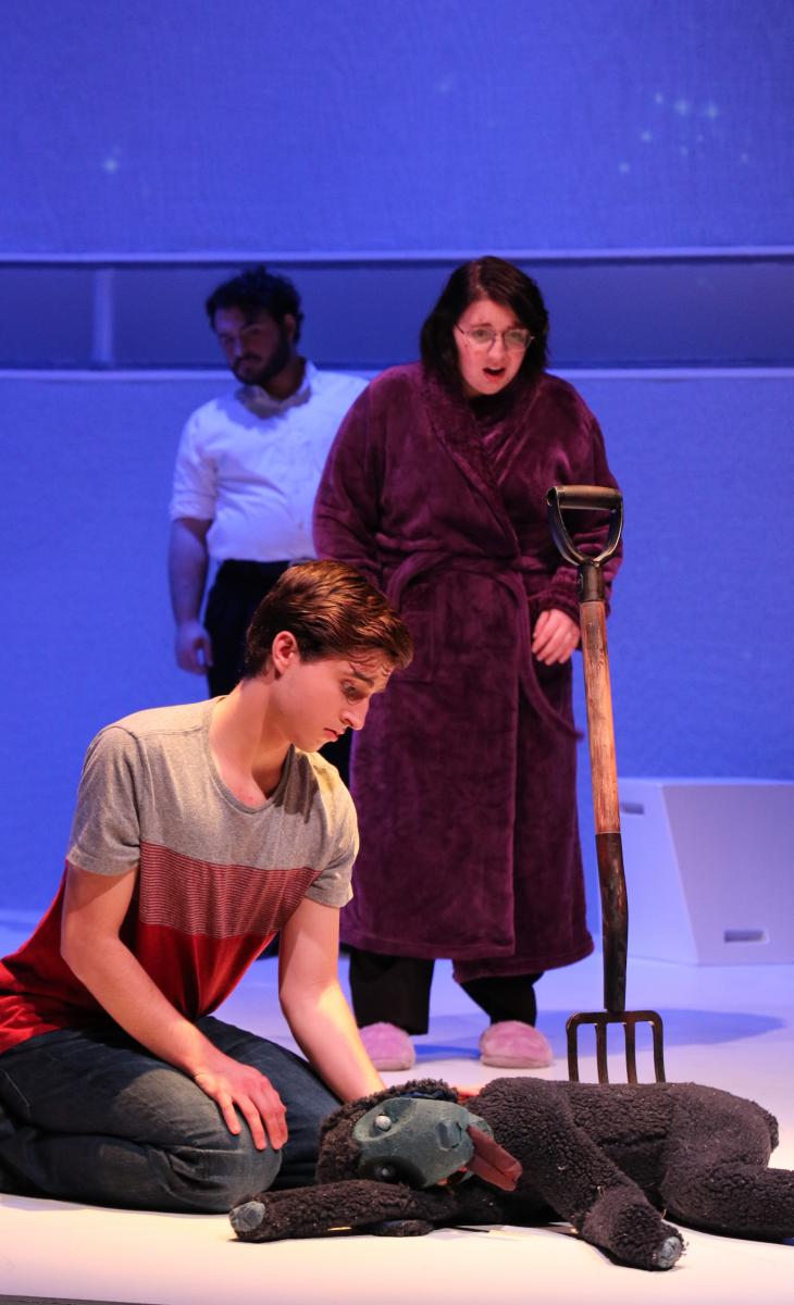 Review: THE CURIOUS INCIDENT OF THE DOG IN THE NIGHT-TIME at CT Repertory Theatre 