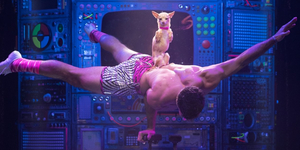 BWW Review: Vegas In Three Acts. From The Sublime To The Obscene To The Badonkadonk.