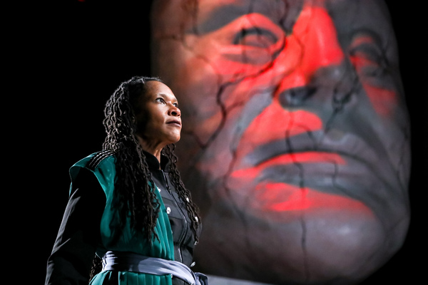 Photo Flash: First Look at JULIUS CAESAR at PlayMakers Image