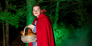 BWW Review: INTO THE WOODS at Red Curtain Theatre Get Their Wishes Photo