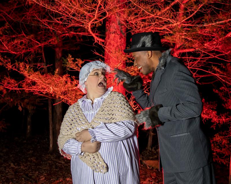 Review: INTO THE WOODS at Red Curtain Theatre Get Their Wishes 