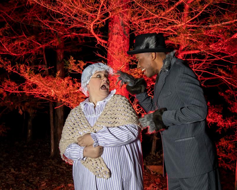 Review: INTO THE WOODS at Red Curtain Theatre Get Their Wishes Image
