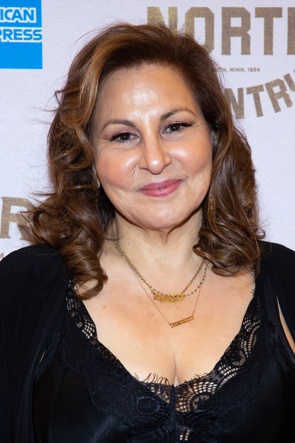 Photo Coverage: On the Opening Night Red Carpet of GIRL FROM THE NORTH COUNTRY Image