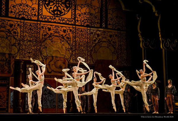 BWW Previews: LA BAYADERE at The Academy Of Music Image
