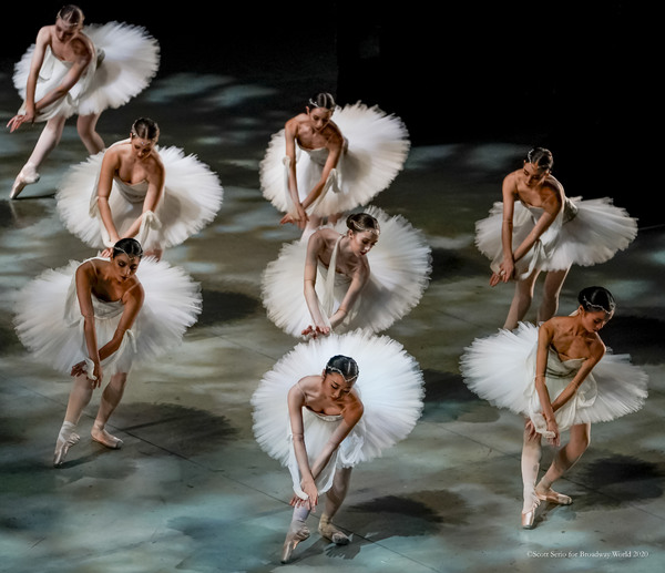 BWW Previews: LA BAYADERE at The Academy Of Music Image