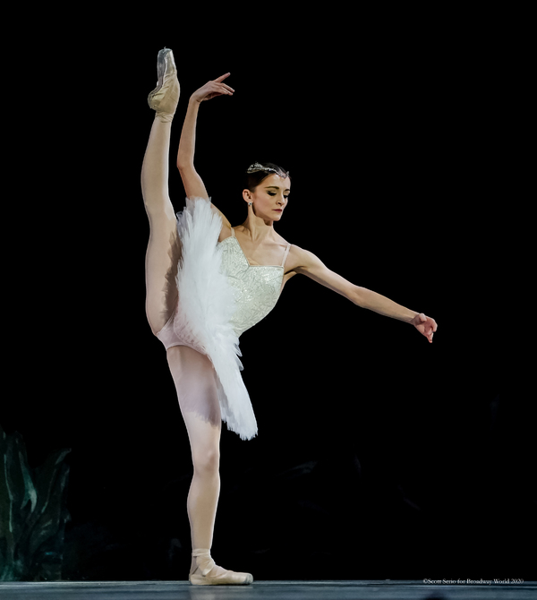 BWW Previews: LA BAYADERE at The Academy Of Music Image