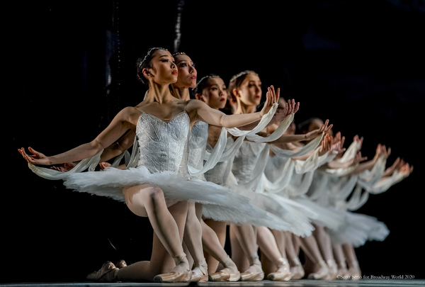 BWW Previews: LA BAYADERE at The Academy Of Music Image