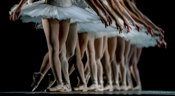 BWW Previews: LA BAYADERE at The Academy Of Music Image