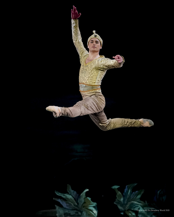 BWW Previews: LA BAYADERE at The Academy Of Music Image