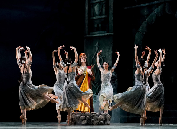 BWW Previews: LA BAYADERE at The Academy Of Music Image