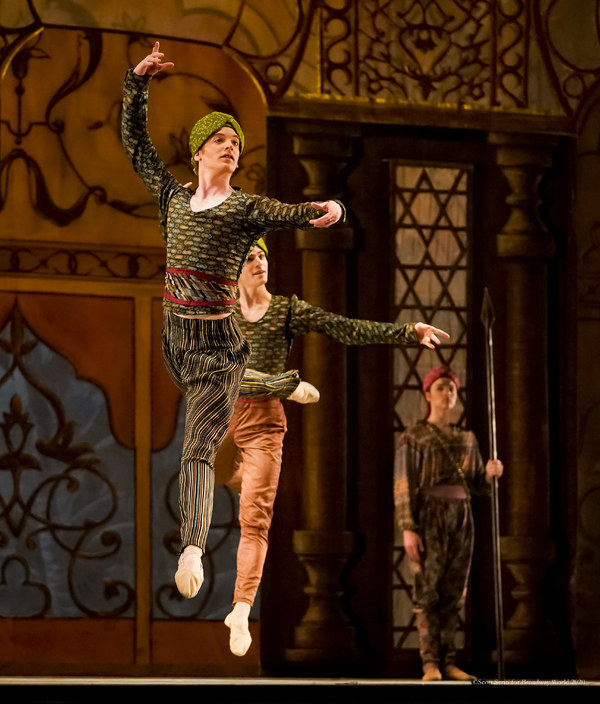 BWW Previews: LA BAYADERE at The Academy Of Music Image