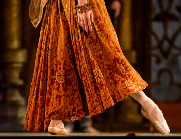 BWW Previews: LA BAYADERE at The Academy Of Music Image