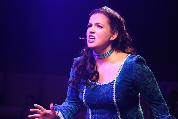 Photo Flash: First Look at New Line Theatre's HEAD OVER HEELS Image