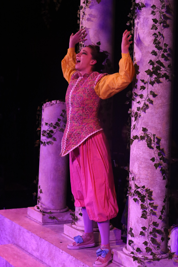 Photo Flash: First Look at New Line Theatre's HEAD OVER HEELS Image