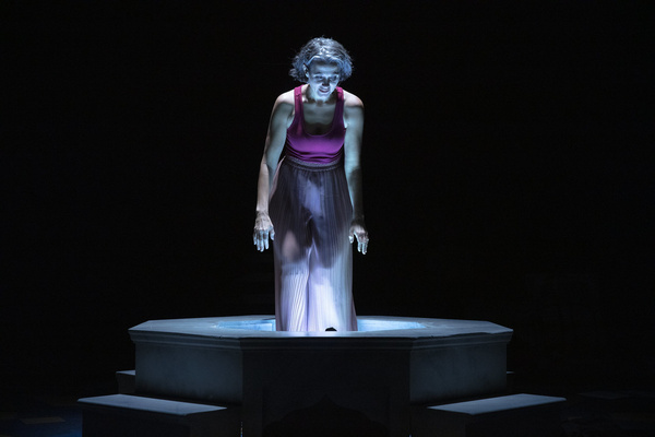Photo Flash: First Look at Nora el Samahy in 9 PARTS OF DESIRE Image