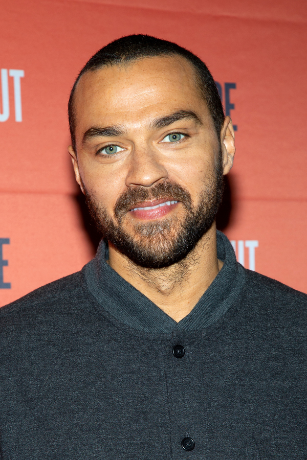 Photo Coverage: Meet the Cast of TAKE ME OUT on Broadway! Image