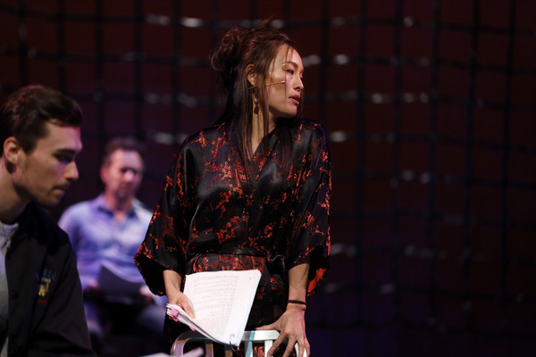Photo Flash: Al Pacino Headlines Staged Reading Of THE BASIC TRAINING OF PAVLO HUMMEL Image
