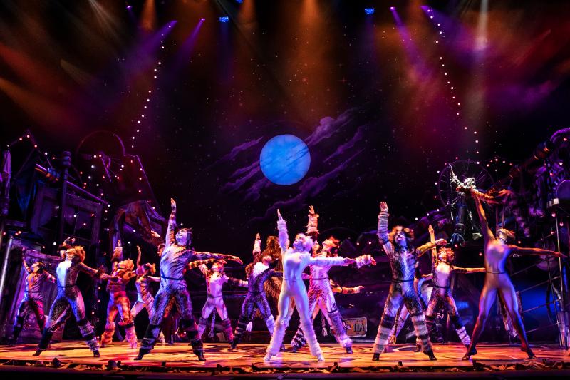BWW Review: Broadway Across Canada's Touring Production of CATS Proves Its Enduring Appeal 