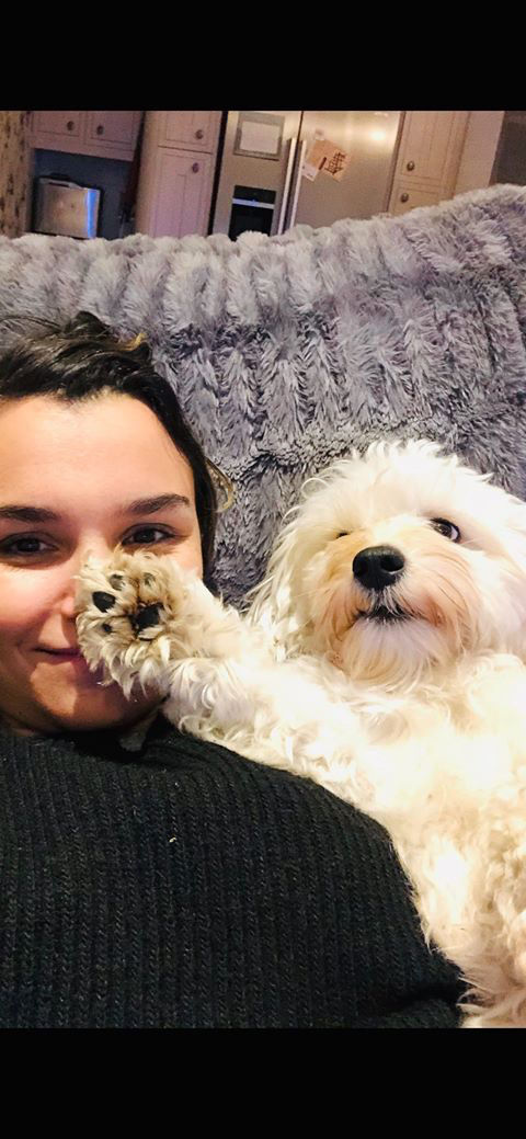 Broadway Stars and Their Pets Celebrate National Puppy Day! Image