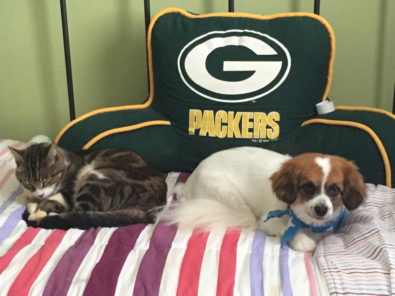 BWW Backstage Pets: Glow Lyric Theatre's CHRISTIAN AND JENNA ELSER and Their Pets 