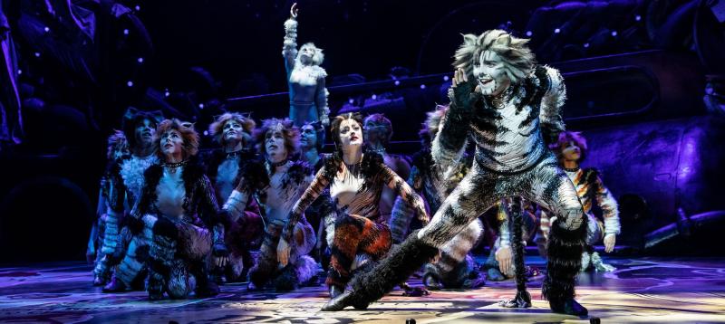 Feature: CATS IL MUSICAL IN STREAMING su You Tube Image