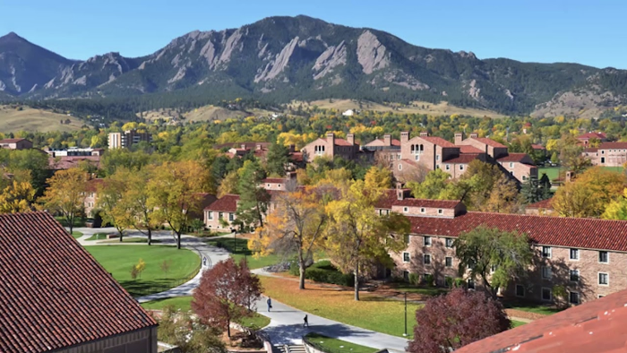 BWW Blog: How to Succeed in Business School Without Being a Theatre Major Image