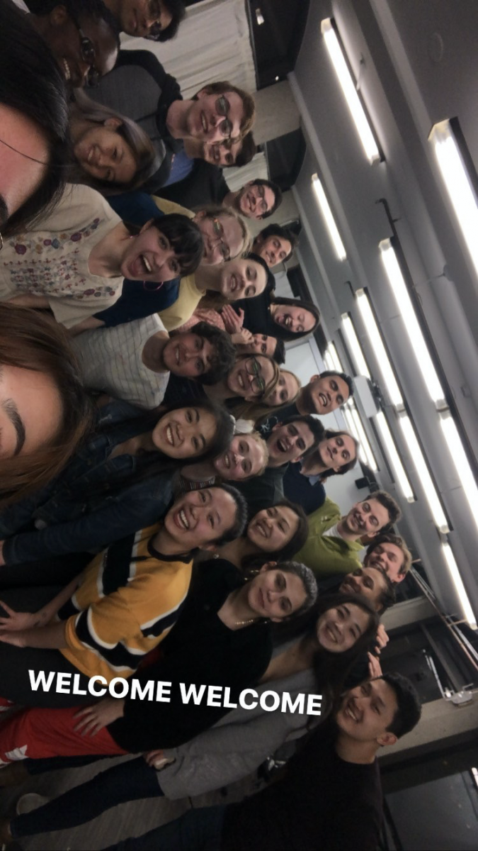 BWW Blog: Fake Moos - Written, Produced, Directed, and Starring the Harvard Class of 2023 