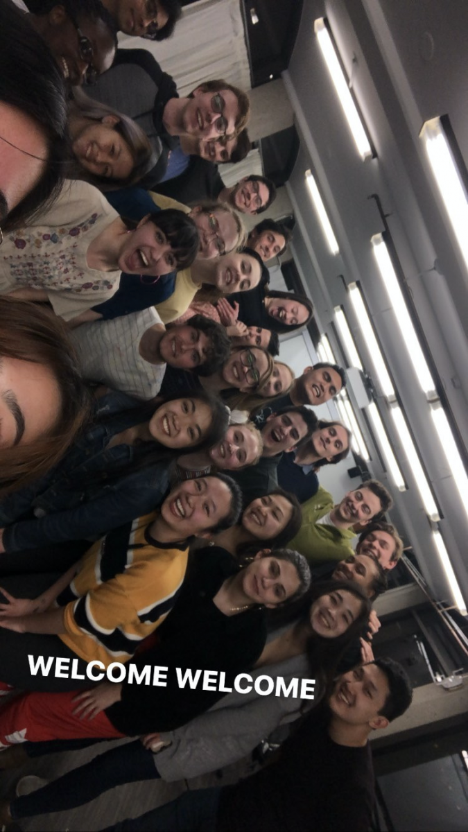 BWW Blog: Fake Moos - Written, Produced, Directed, and Starring the Harvard Class of 2023 Image