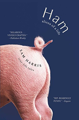 Interview: Sam Harris On THE SUBSTANCE OF ALL THINGS And Life As An Artist In Two Mediums Image