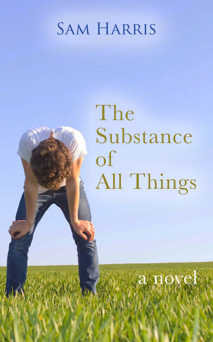 Interview: Sam Harris On THE SUBSTANCE OF ALL THINGS And Life As An Artist In Two Mediums 