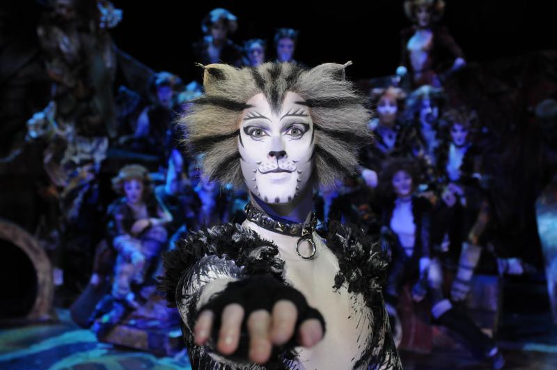 Review: CATS at Ronacher Theater Image
