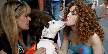 VIDEO: Watch Lin-Manuel Miranda, Bette Midler, Josh Groban and More Join Bernadette Peters Photo
