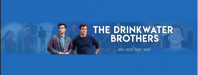 Feature: Birdland Artists Provide Epic Amounts Of Online Content Image