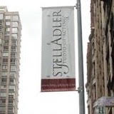 BWW Blog: My Summer at The Stella Adler Self-Generated Theater Intensive Image