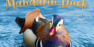 Bette Midler Will Publish a Children's Book About New York City's Mandarin Duck Photo