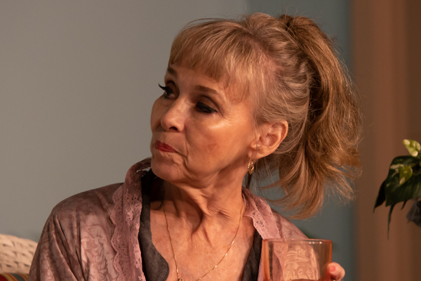 Photo Coverage: First look at Curtain Players' THE DIXIE SWIM CLUB Image