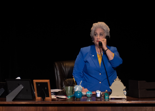 Photo Flash: Take a Look at Firehouse Theatre's Production of ANN Image
