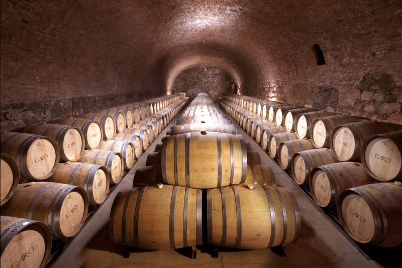 BODEGAS CARO-Wines You Should Know About  Image