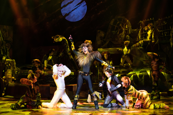 Photo Flash: Get a First Look at CATS in South Korea, Starring Joanna Ampil 